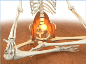 Psoas & 2nd Chakra